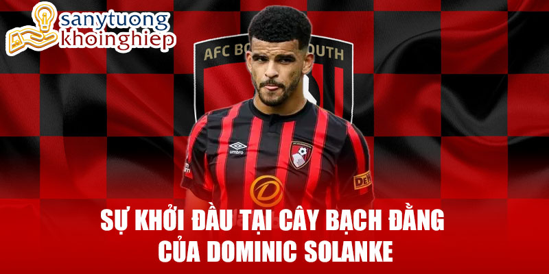 Sự khởi đầu tại cây bạch đằng của dominic solanke