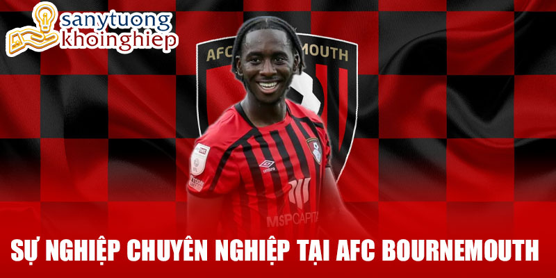 Sự nghiệp chuyên nghiệp tại afc bournemouth