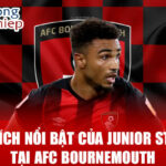 Thành tích nổi bật của junior stanislas tại afc bournemouth